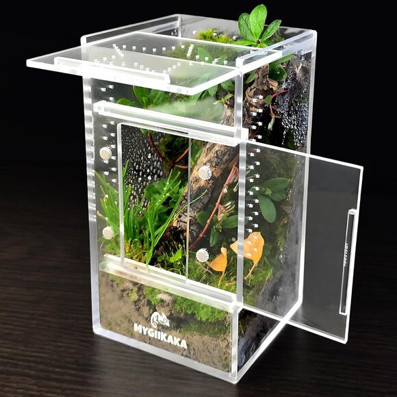 Acrylic Jumping Spider & Insect Habitat – Bug, Mantis 6" Enclosure. Magnetic NEW - Picture 1 of 16